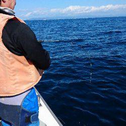 遊漁船ブルーウッズ 釣果