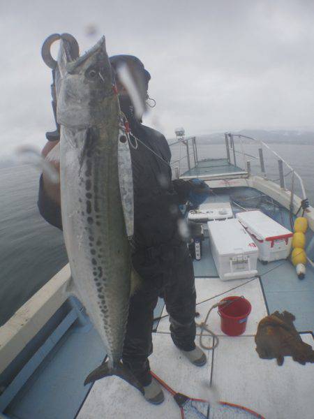 秀漁丸 釣果