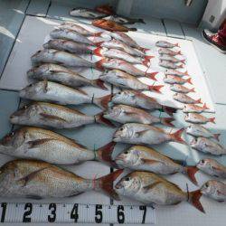 遊漁船 幸友丸 釣果