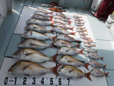 遊漁船 幸友丸 釣果