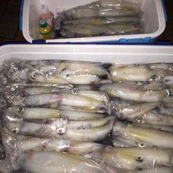 幸風(さちかぜ) 釣果