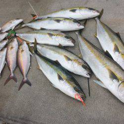 寿裕 (YOSHIHIRO) 釣果