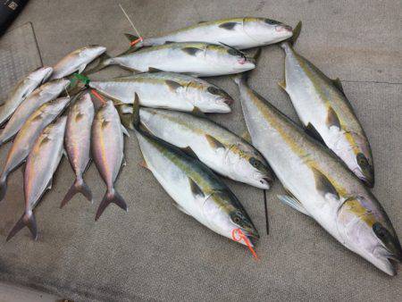 寿裕 (YOSHIHIRO) 釣果