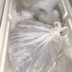 幸風(さちかぜ) 釣果