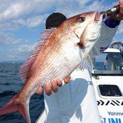 遊漁船ブルーウッズ 釣果