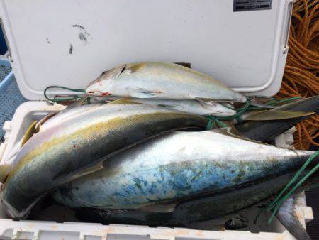 幸風(さちかぜ) 釣果