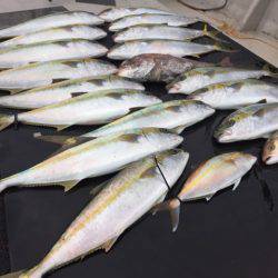 寿裕 (YOSHIHIRO) 釣果