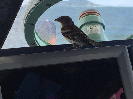 寿裕 (YOSHIHIRO) 釣果