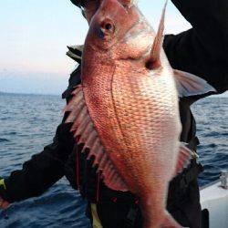 遊漁船ブルーウッズ 釣果