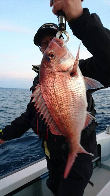 遊漁船ブルーウッズ 釣果