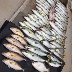 寿裕 (YOSHIHIRO) 釣果