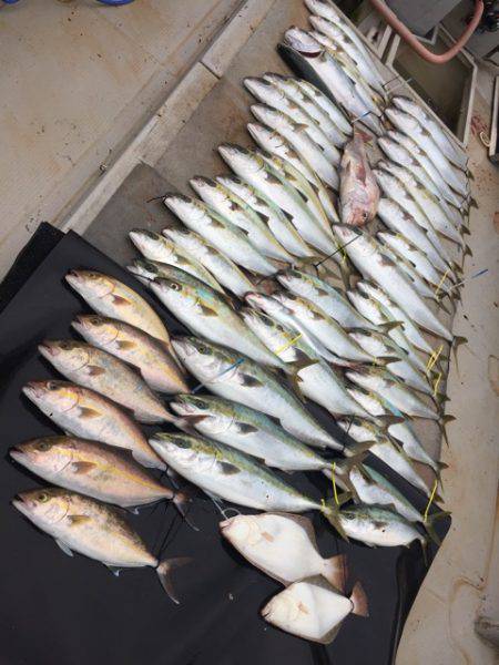 寿裕 （YOSHIHIRO） 釣果