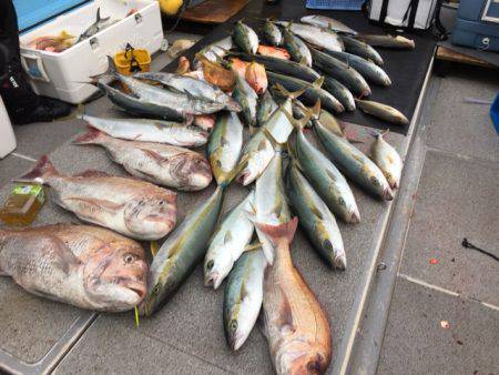 幸風(さちかぜ) 釣果