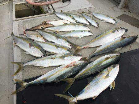 寿裕 (YOSHIHIRO) 釣果