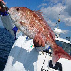 遊漁船ブルーウッズ 釣果