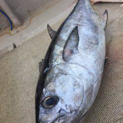 寿裕 (YOSHIHIRO) 釣果