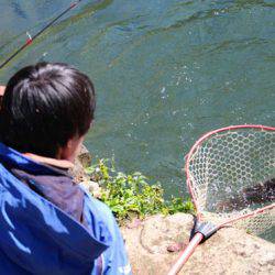 小菅トラウトガーデン 釣果