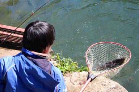 小菅トラウトガーデン 釣果