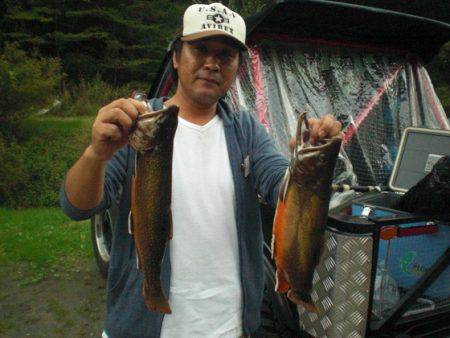 高萩ふれあいの里フィッシングエリア 釣果