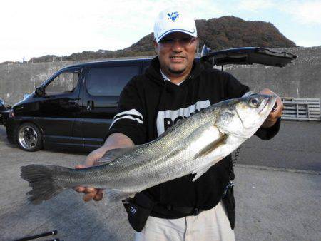 大進丸（新潟） 釣果