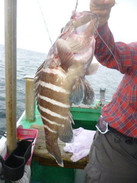 真祐丸 (しんゆうまる) 釣果