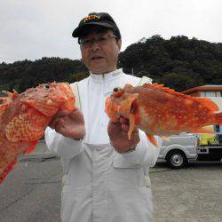 大進丸(新潟) 釣果