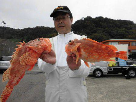 大進丸（新潟） 釣果