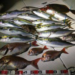 ふじしめ丸 釣果