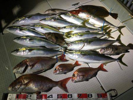 ふじしめ丸 釣果