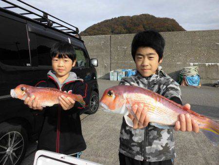 大進丸（新潟） 釣果