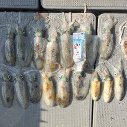 遊漁船高橋 釣果