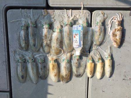 遊漁船高橋 釣果