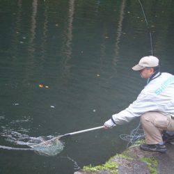 小菅トラウトガーデン 釣果
