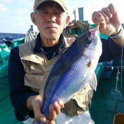 フィッシングハウス伊藤 釣果