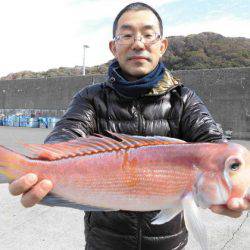 大進丸(新潟) 釣果
