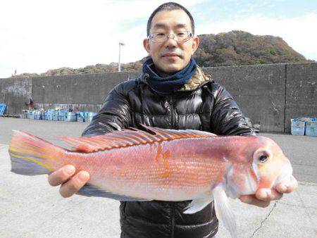 大進丸(新潟) 釣果