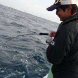 遊漁船 新鋭丸 釣果