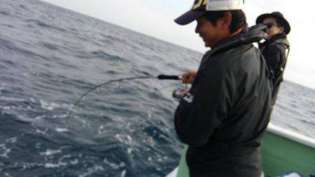 遊漁船 新鋭丸 釣果