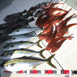 ふじしめ丸 釣果