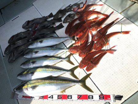 ふじしめ丸 釣果