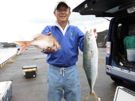 大進丸（新潟） 釣果