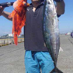 遊漁船 新鋭丸 釣果