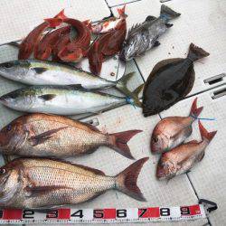 ふじしめ丸 釣果
