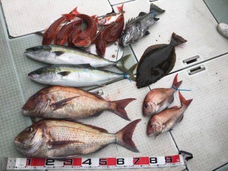 ふじしめ丸 釣果
