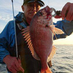 遊漁船ブルーウッズ 釣果