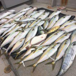 寿裕 (YOSHIHIRO) 釣果