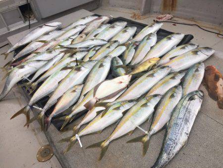 寿裕 (YOSHIHIRO) 釣果