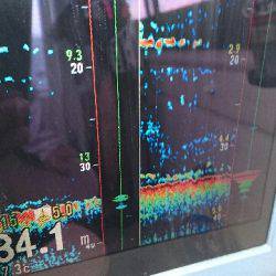 遊漁船ブルーウッズ 釣果