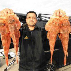 大進丸(新潟) 釣果