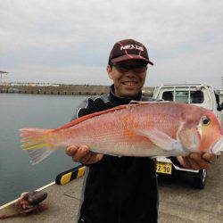 大進丸(新潟) 釣果